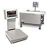 Food Processing Scale  Systems